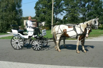 Projížďky bryčkou